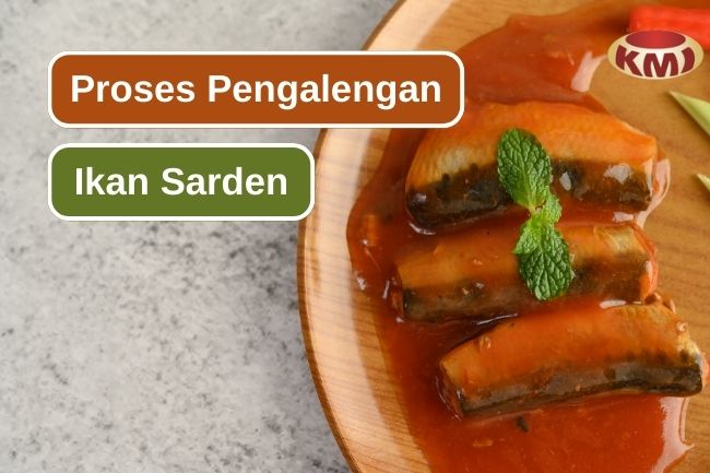 Beginilah Proses Pengalengan Ikan Sarden